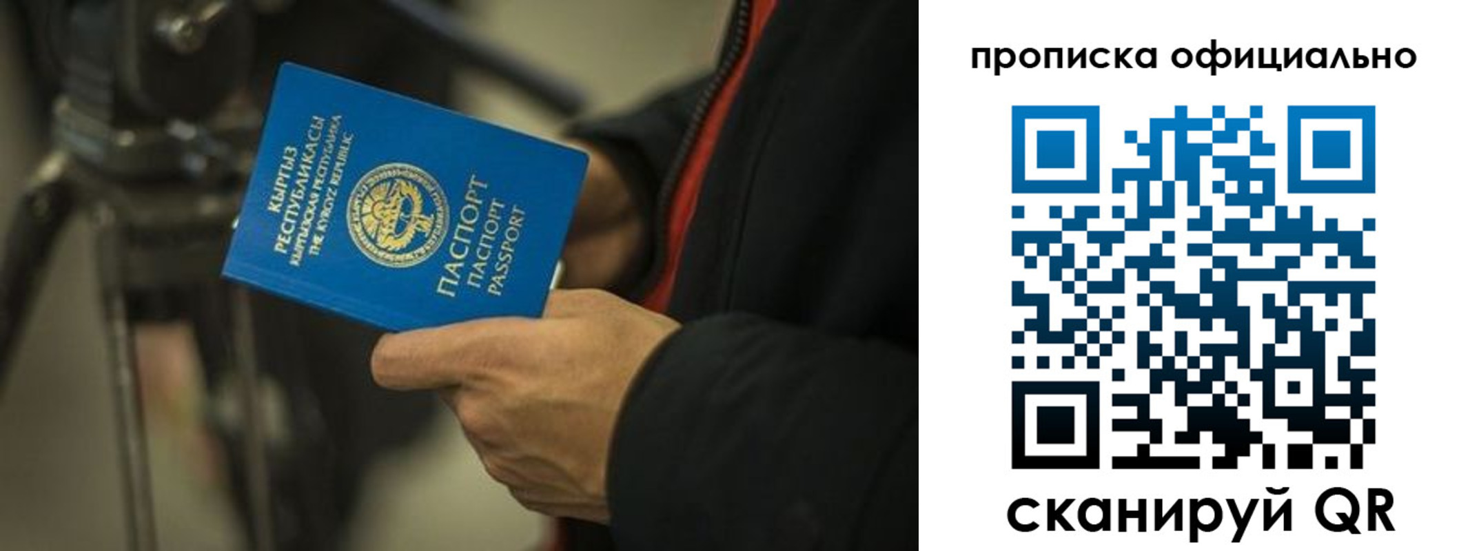 прописка в Ленинградской области
